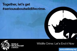 Media Gambar World Wildlife Day 2