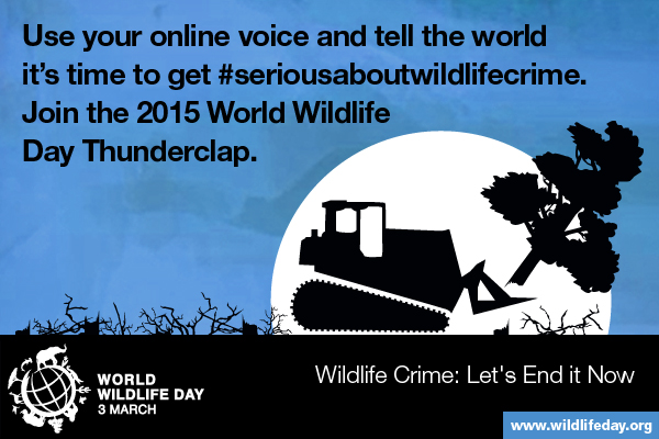 Media Gambar World Wildlife Day 3