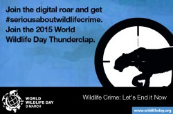 Media Gambar World Wildlife Day 4