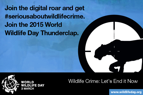 Media Gambar World Wildlife Day 4