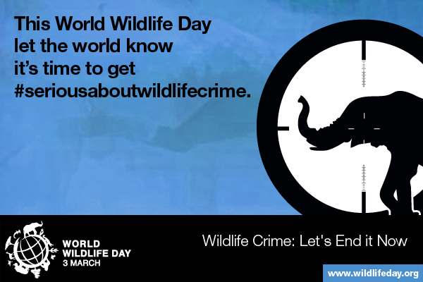 Media Gambar World Wildlife Day 5