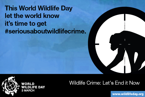 Media Gambar World Wildlife Day 6