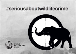 Poster World Wildlife Day 2015