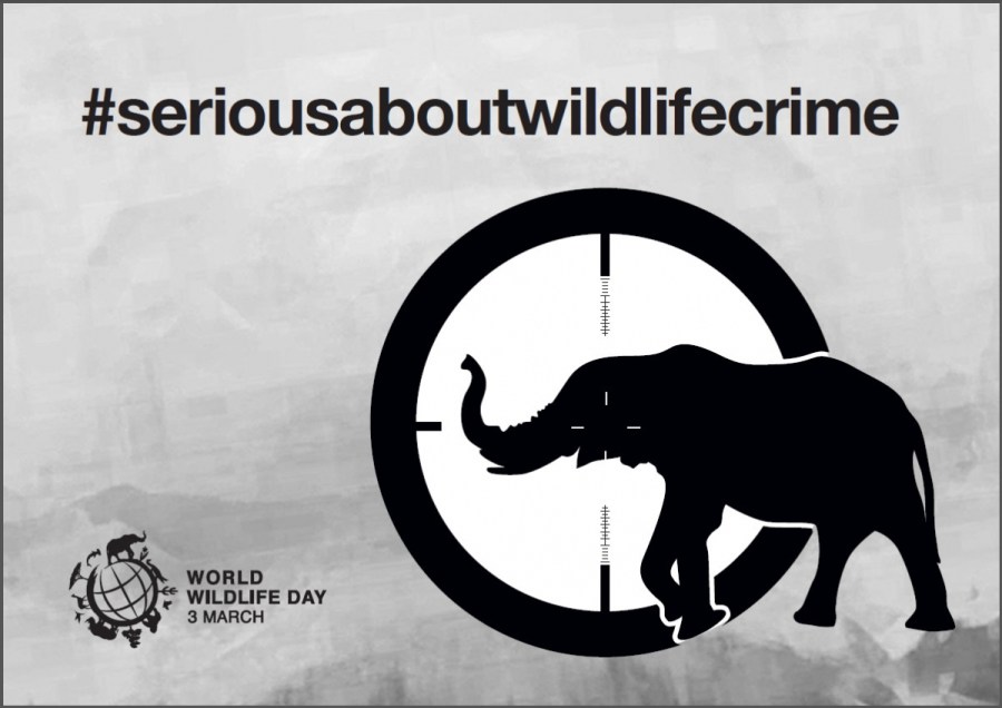 Poster World Wildlife Day 2015