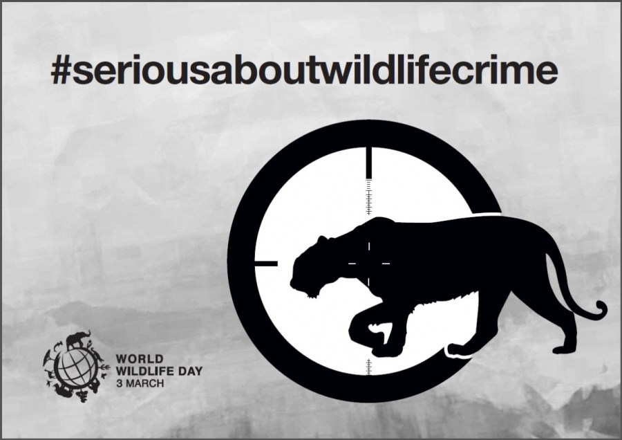 Poster World Wildlife Day 2015