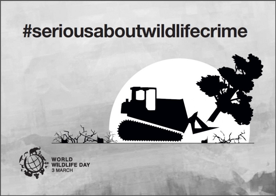 Poster World Wildlife Day 2015