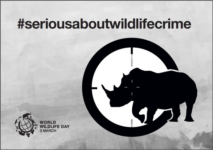 Poster World Wildlife Day 2015