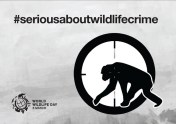 Poster World Wildlife Day 2015