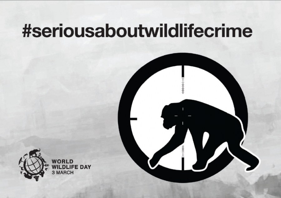 Poster World Wildlife Day 2015