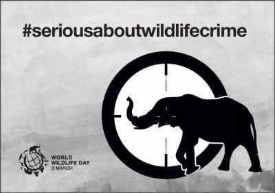 Poster World Wildlife Day 2015