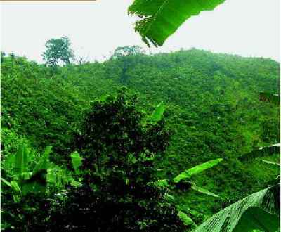 Cagar Alam Gunung Butak