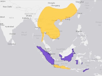 Sebaran Cucak Kutilang Pycnonotus aurigaster