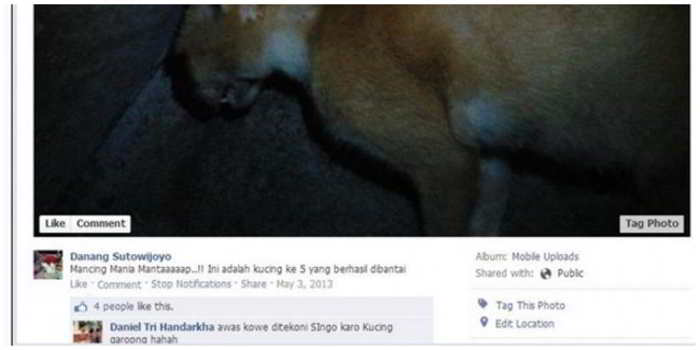 Danang Sutowijoyo Menyiksa Hewan