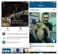 Novtamaputra Menyiksa Hewan Bekantan