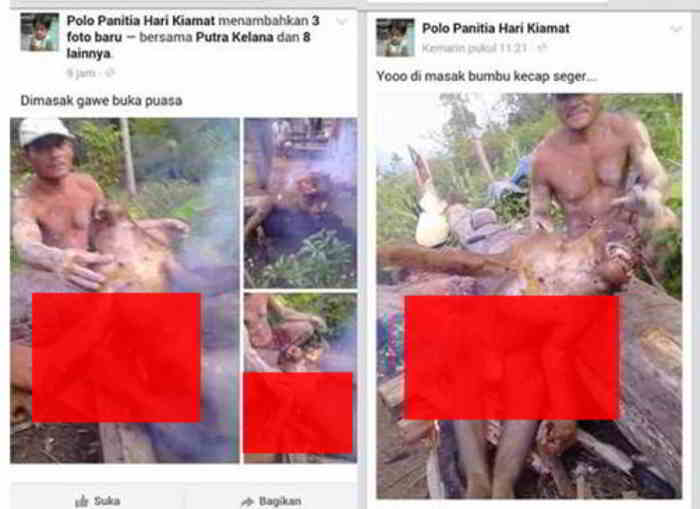 Polo Panitia Hari Kiamat Menyiksa Hewan Orangutan