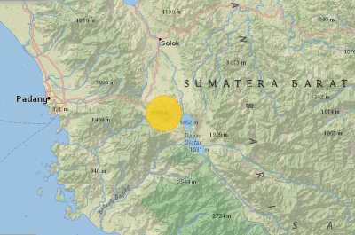 Kodok Sumatera (Duttaphrynus sumatranus)
