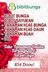 Bibit Bunga
