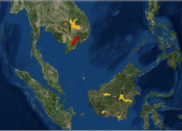 Daerah Sebaran Ibis Karau (Pseudibis davisoni)