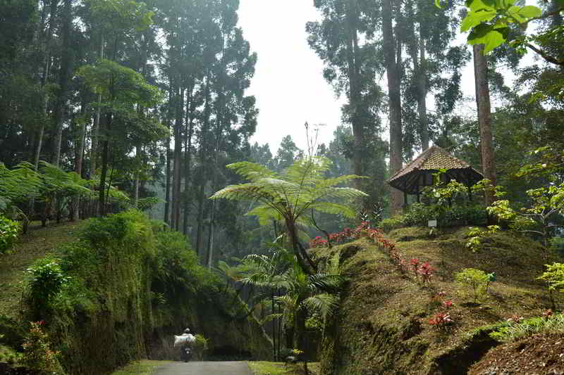 Kebun Raya Baturaden
