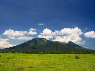 Cagar Biosfer Blambangan, Savana Bekol Baluran
